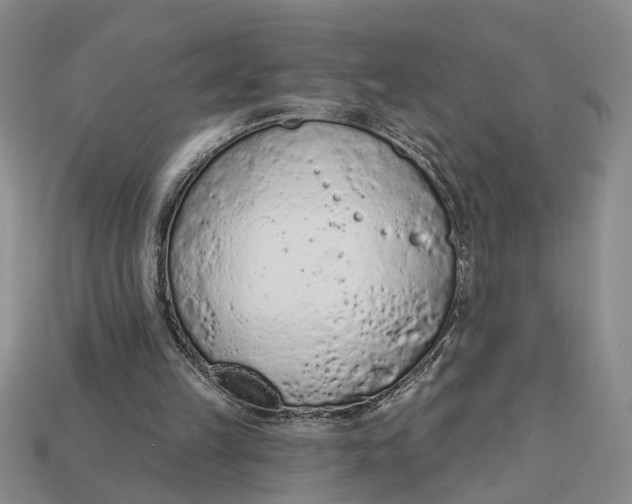 X0000112780149200909101619