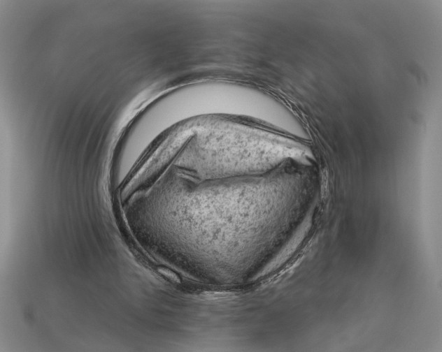 X0000112780150200909101619