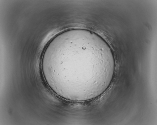 X0000112780151200909101619