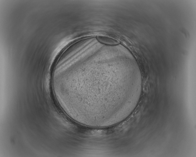 X0000112780152200909101619