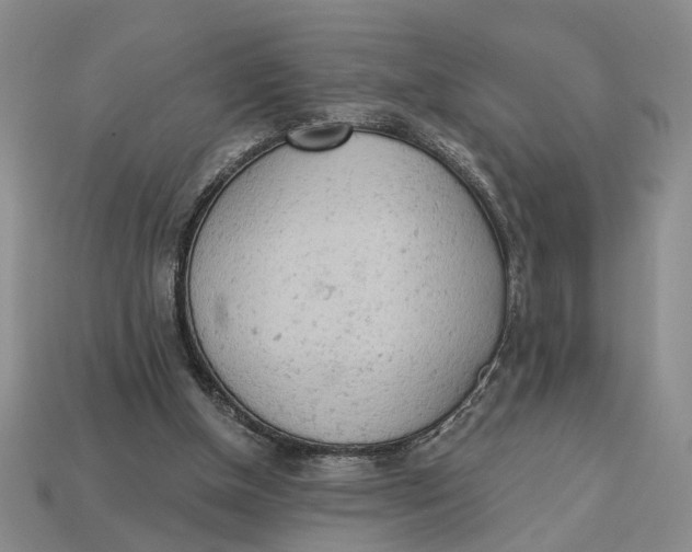 X0000112780154200909101619