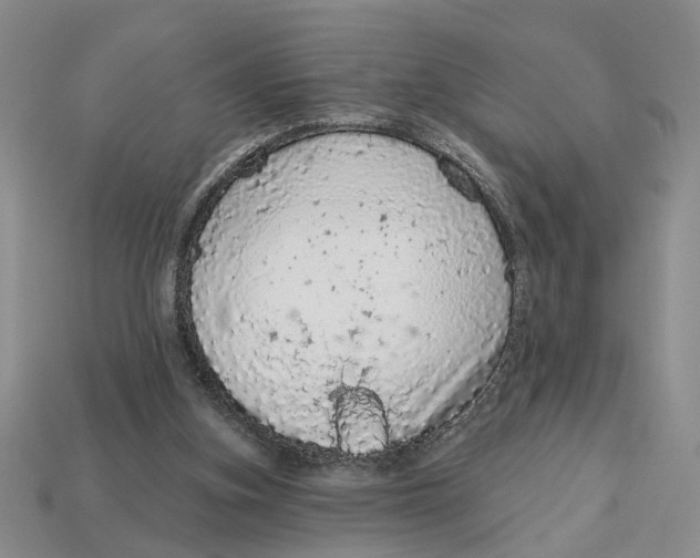 X0000112780155200909101619