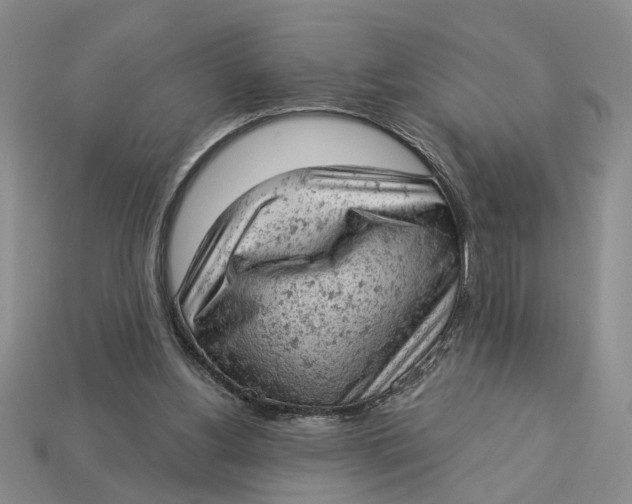 X0000112780156200909101619