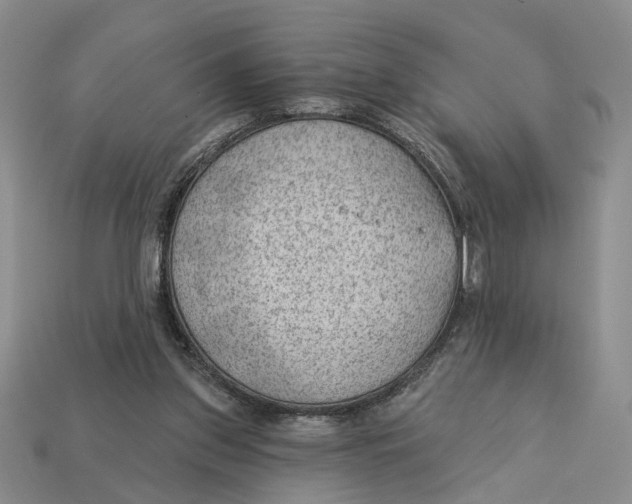 X0000112780157200909101619