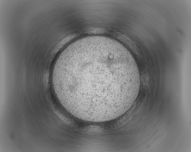 X0000112780159200909101619