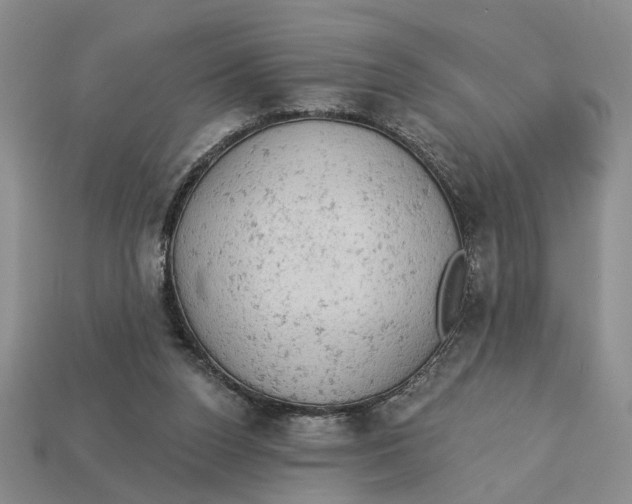 X0000112780160200909101619