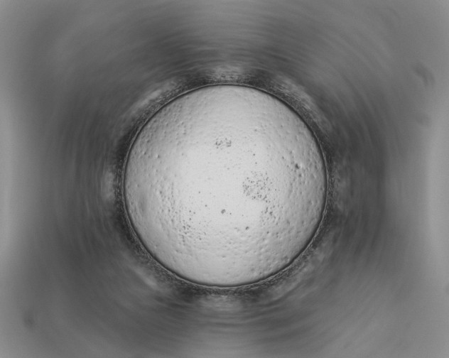 X0000112780161200909101619