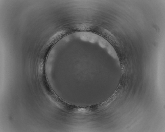 X0000112780163200909101619