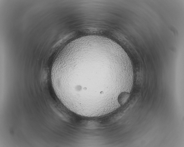 X0000112780165200909101619