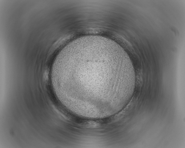 X0000112780166200909101619