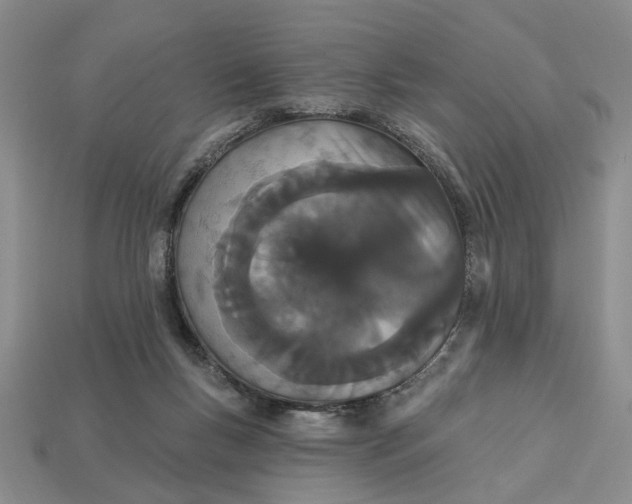 X0000112780167200909101619