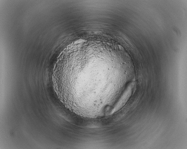 X0000112780169200909101620