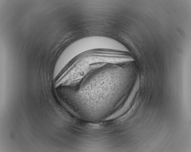 X0000112780170200909101620