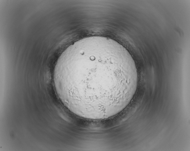 X0000112780173200909101620