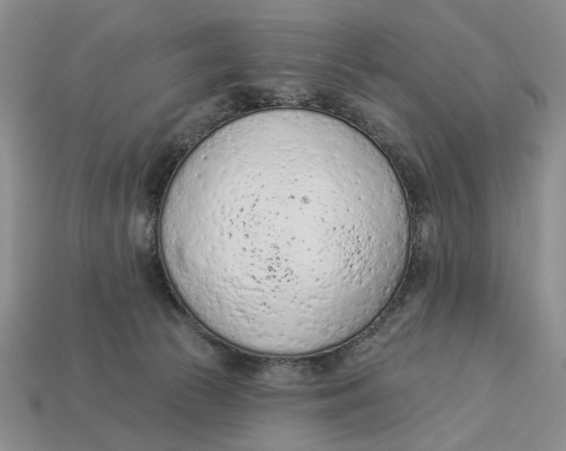 X0000112780177200909101620