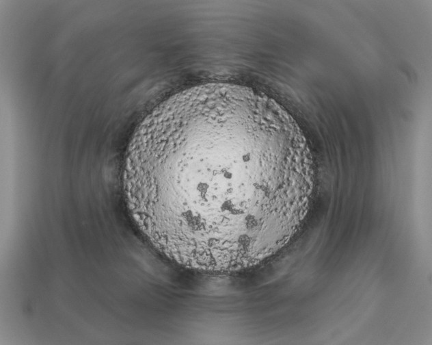 X0000112780181200909101620