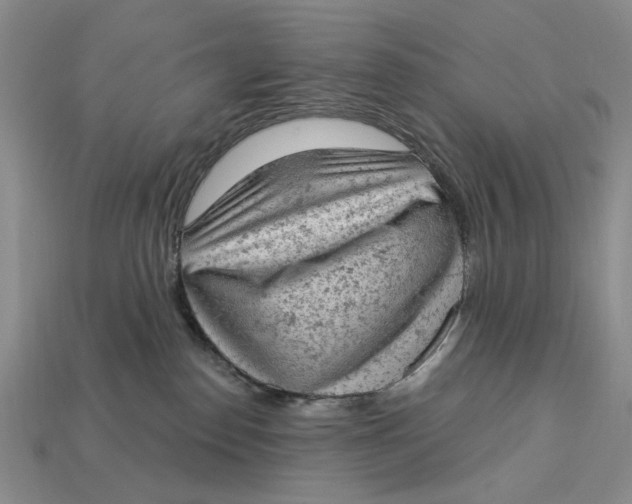 X0000112780186200909101620