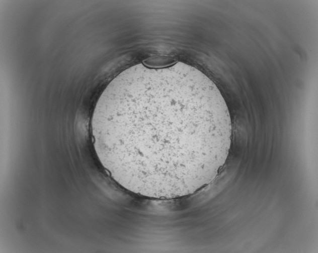 X0000112780188200909101620