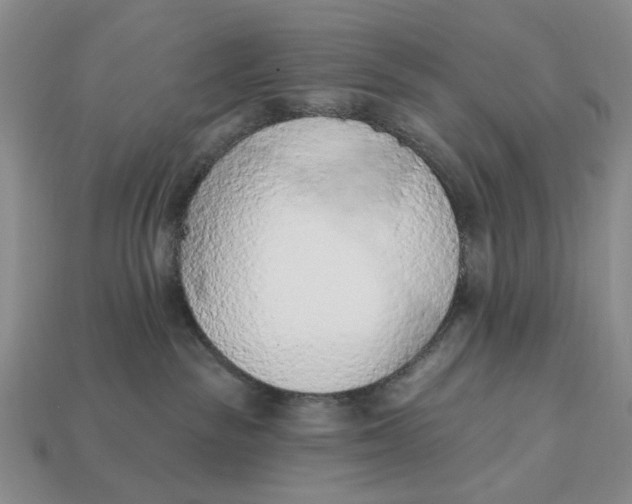 X0000112780189200909101620