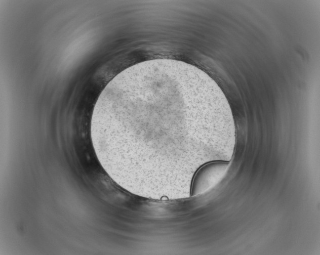 X0000112780190200909101620