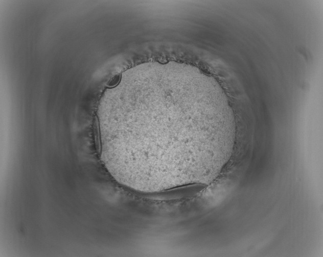 X0000112780192200909101620