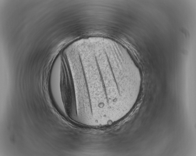 X0000112780193200909101619