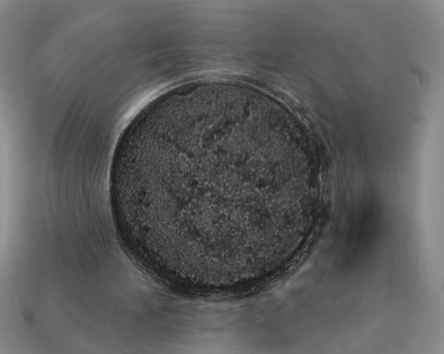 X0000112780196200909101619