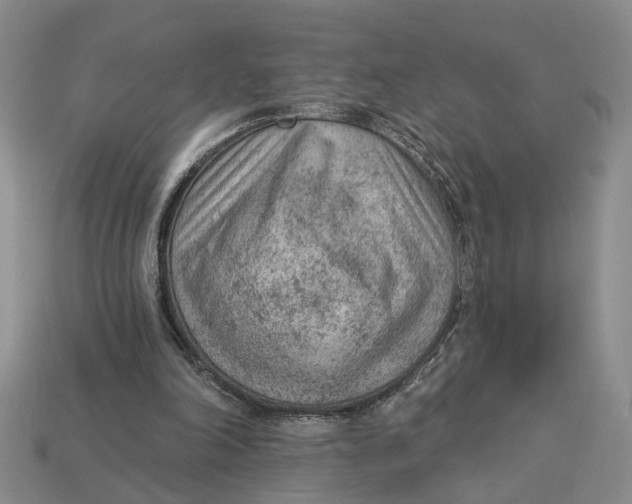 X0000112780198200909101619