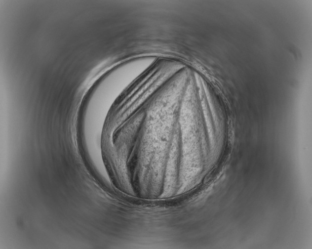 X0000112780199200909101619