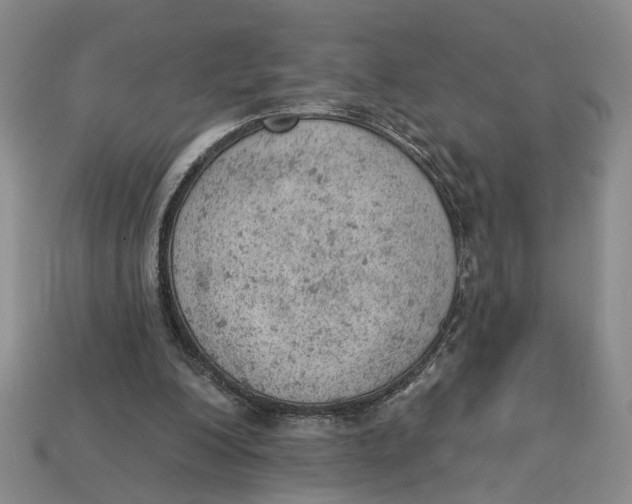 X0000112780200200909101619