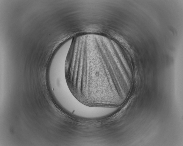 X0000112780201200909101619