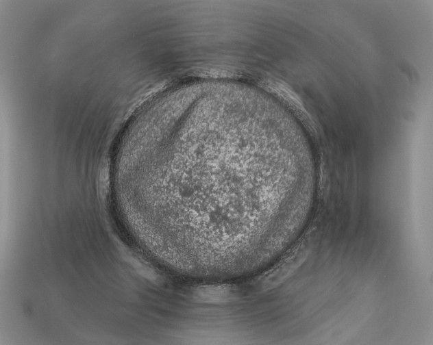 X0000112780202200909101619