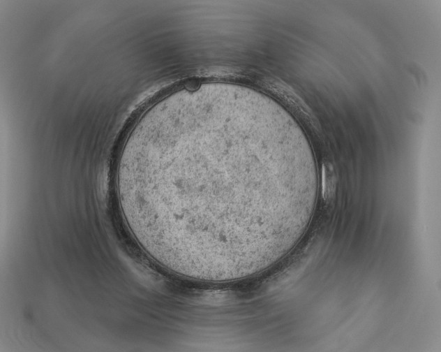 X0000112780204200909101619