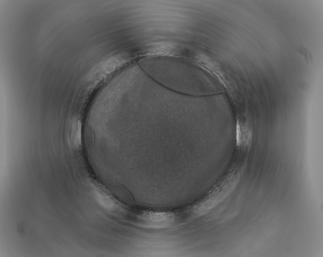 X0000112780205200909101619