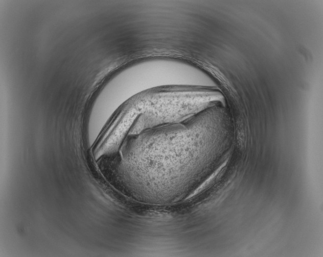 X0000112780207200909101619