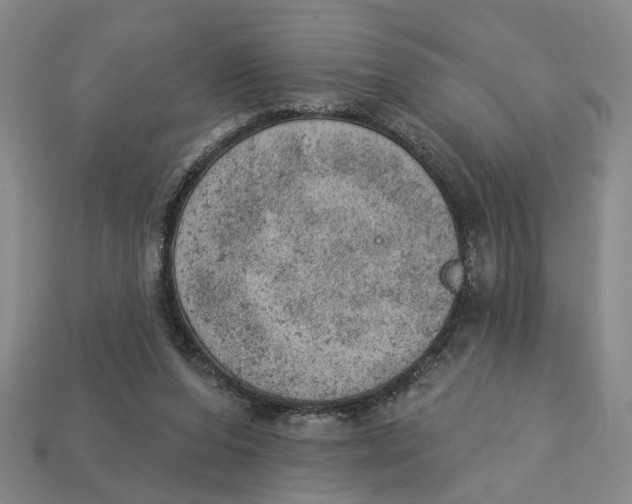 X0000112780208200909101619