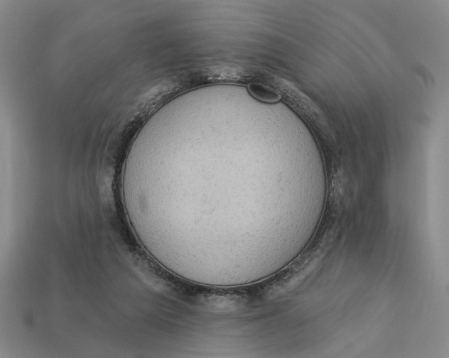 X0000112780209200909101619