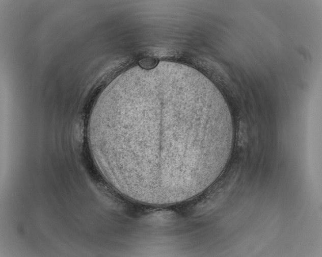 X0000112780210200909101619