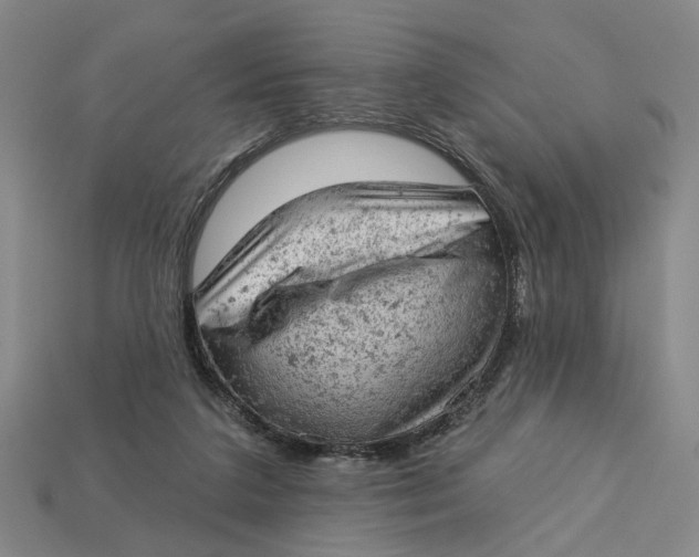 X0000112780211200909101619