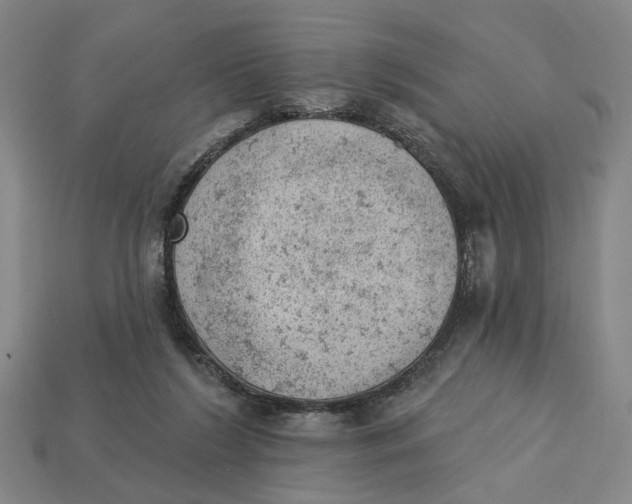 X0000112780212200909101619