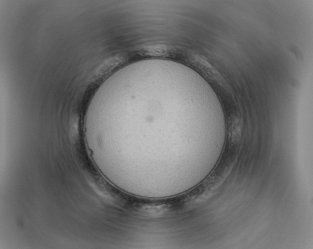 X0000112780213200909101619