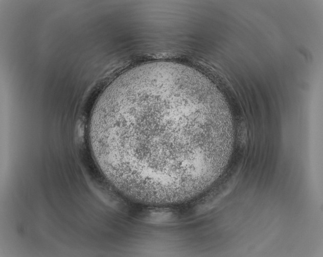 X0000112780214200909101619