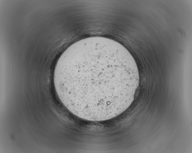 X0000112780215200909101619