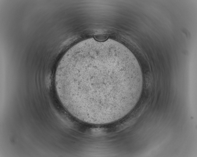 X0000112780216200909101619