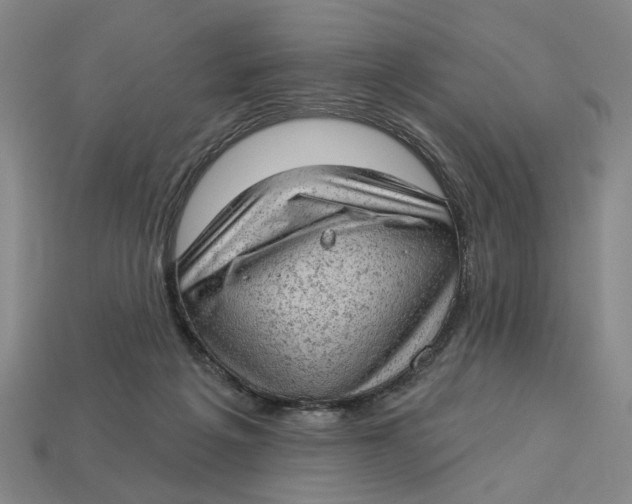 X0000112780217200909101619