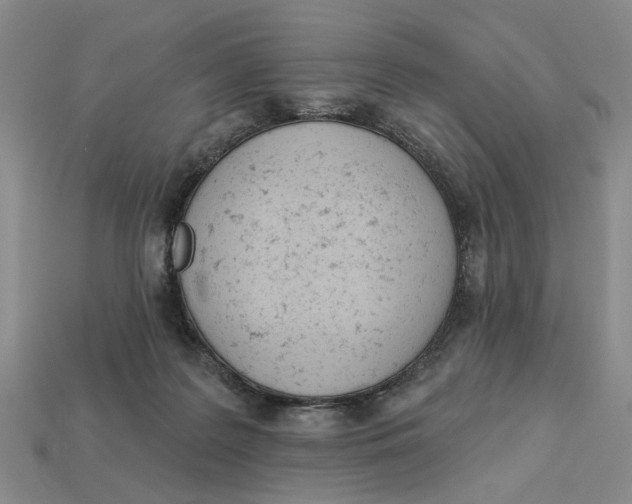 X0000112780219200909101619