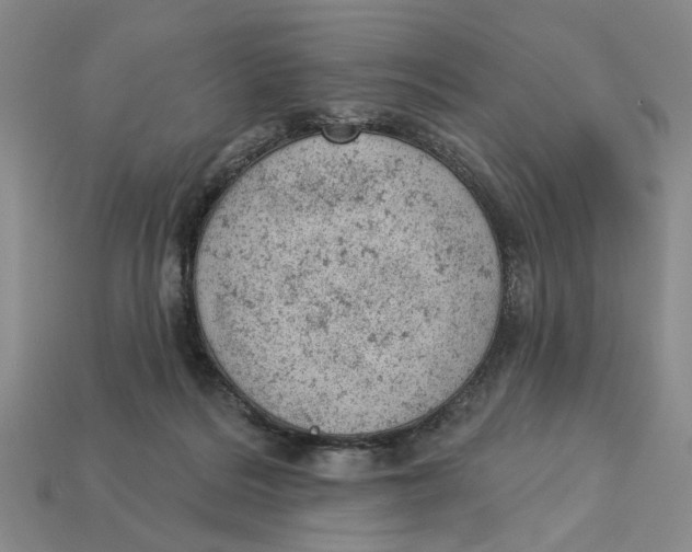 X0000112780220200909101619