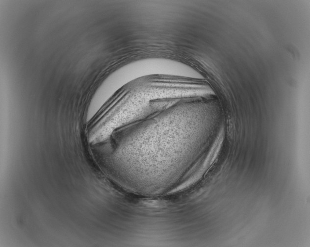 X0000112780221200909101619