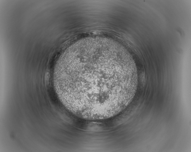 X0000112780222200909101619