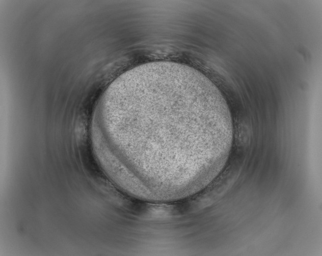 X0000112780226200909101619